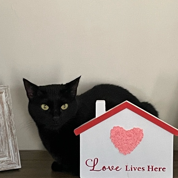 I’m blessed with an awesome family. Gratitude helps me to conquer my hurdles. - Picture 6 of 6